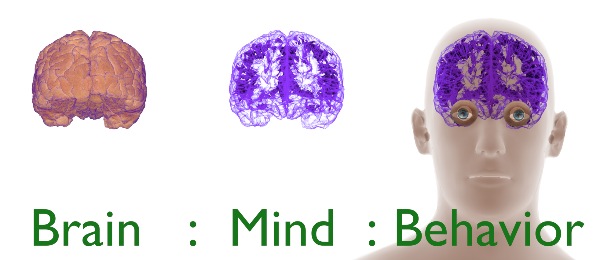 Psychology's Dilemma